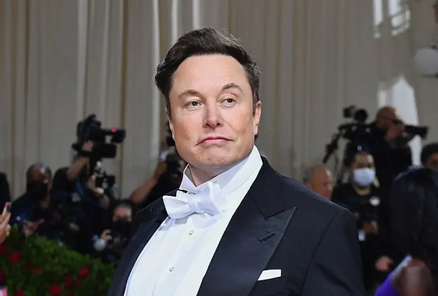 Elon Musk to "Make Games Great Again" with AI-Powered Studio