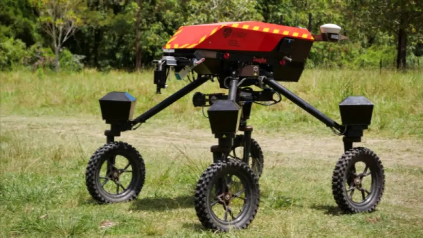AI-Powered SwagBot Revolutionizes Australian Cattle Farming
