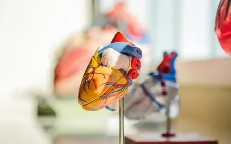 CardioMind: A Game-Changer for Cardiovascular Diagnosis in China