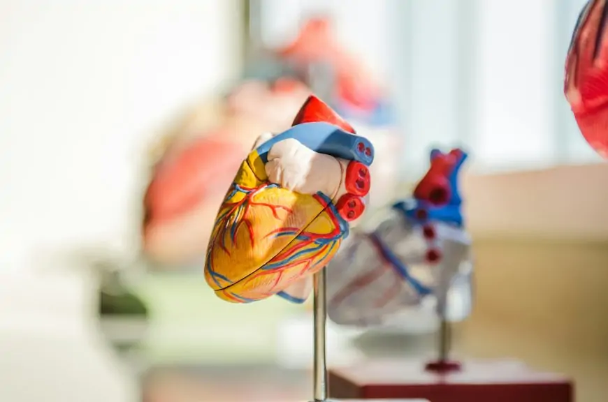 CardioMind: A Game-Changer for Cardiovascular Diagnosis in China