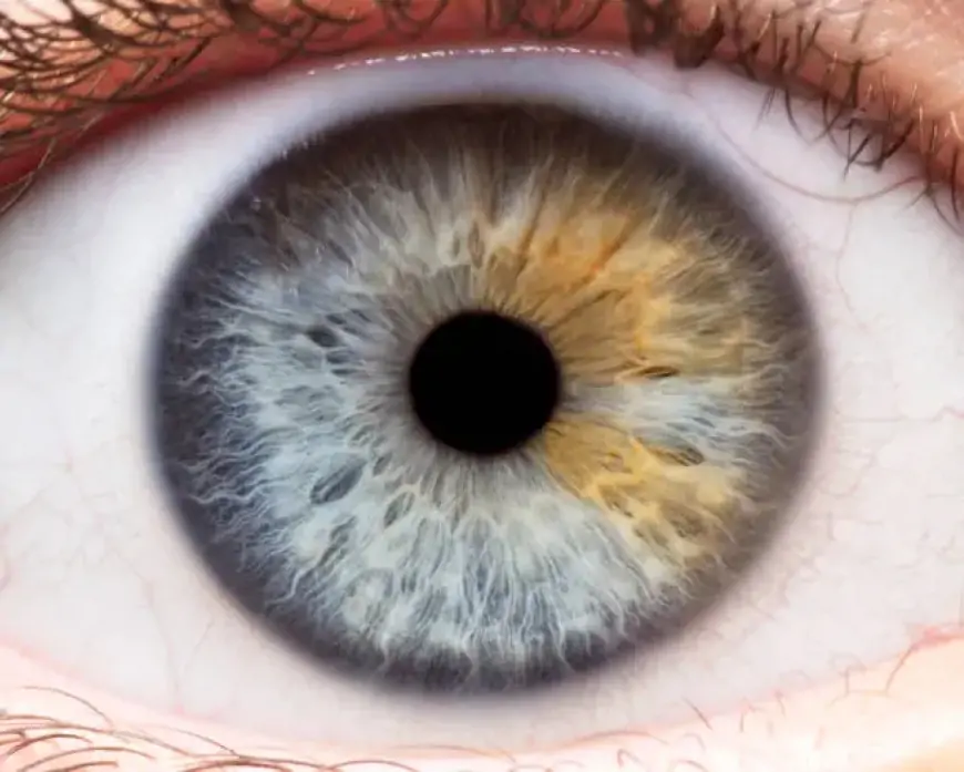 Look into the Future: OpenAI Launches Groundbreaking Iris-Based Authentication in Their New World App!