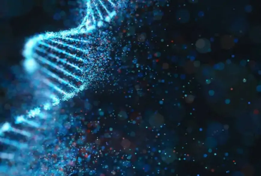 Unleashing Creativity: Introducing Reve, the Revolutionary AI Image Generation Model!