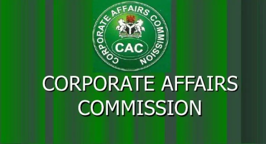Legal Professionals Raise Concerns Over CAC’s AI Platform