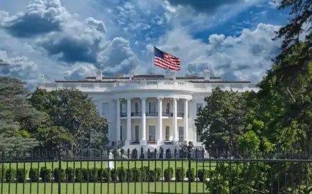 OpenAI, Google, and Anthropic Gain Approval for AI Solutions in US Federal Sector
