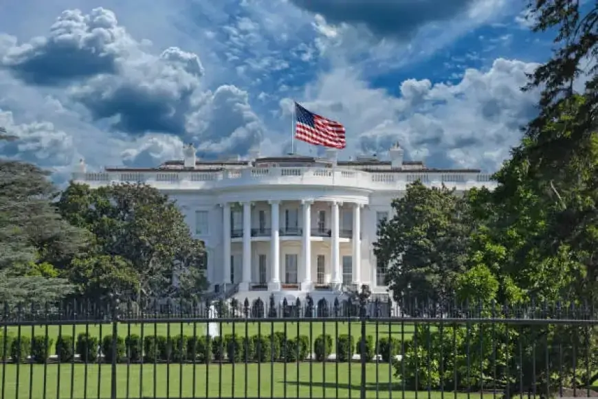 OpenAI, Google, and Anthropic Gain Approval for AI Solutions in US Federal Sector