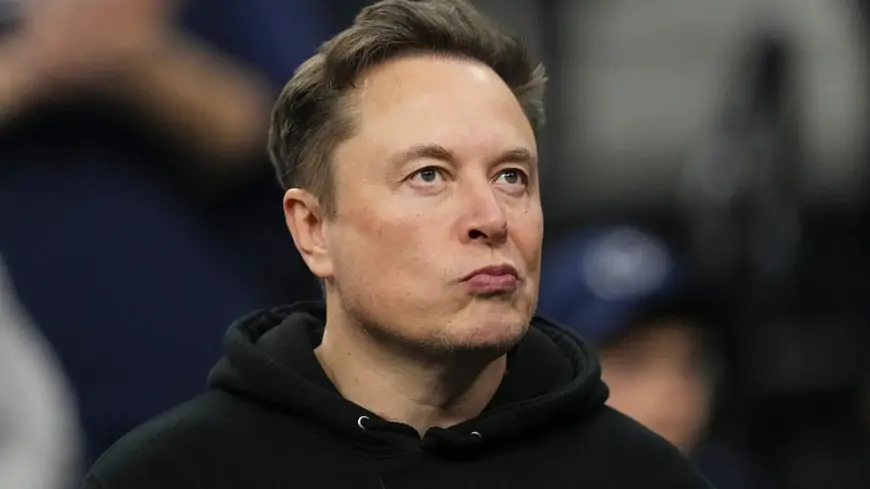 Macrohard: Is Musk Serious About Rivaling Microsoft with a New AI Company?