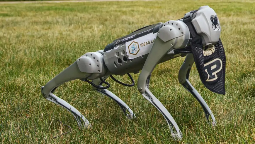 Purdue University Mandates AI Competency for All Undergrads