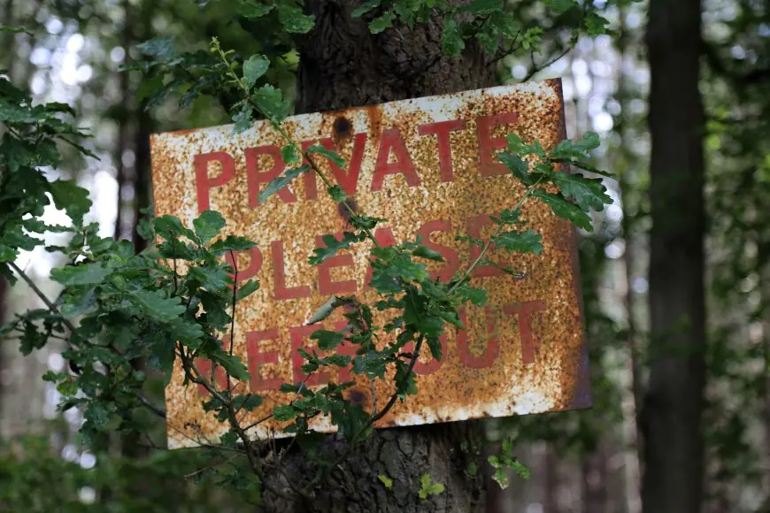OpenAI, Google, Microsoft and Anthropic Back One AI Training Opt-Out but Keep Scraping